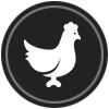 Duck-Duck-Chicken!